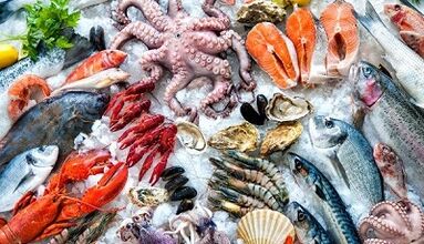 seafood to increase power in men